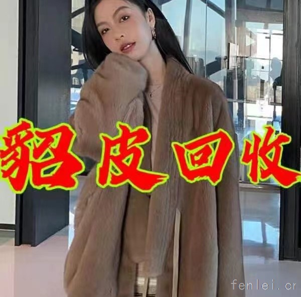 东营回收貂皮#东营市貂皮回收#上门收购皮草紫貂